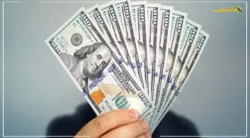 تطورات جديدة في بداية التعاملات.. سعر الدولار اليوم الإثنين 15/9/2025 أمام الجنيه المصري | تحليل شامل لأداء العملة الخضراء